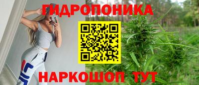 прущая мука Будённовск