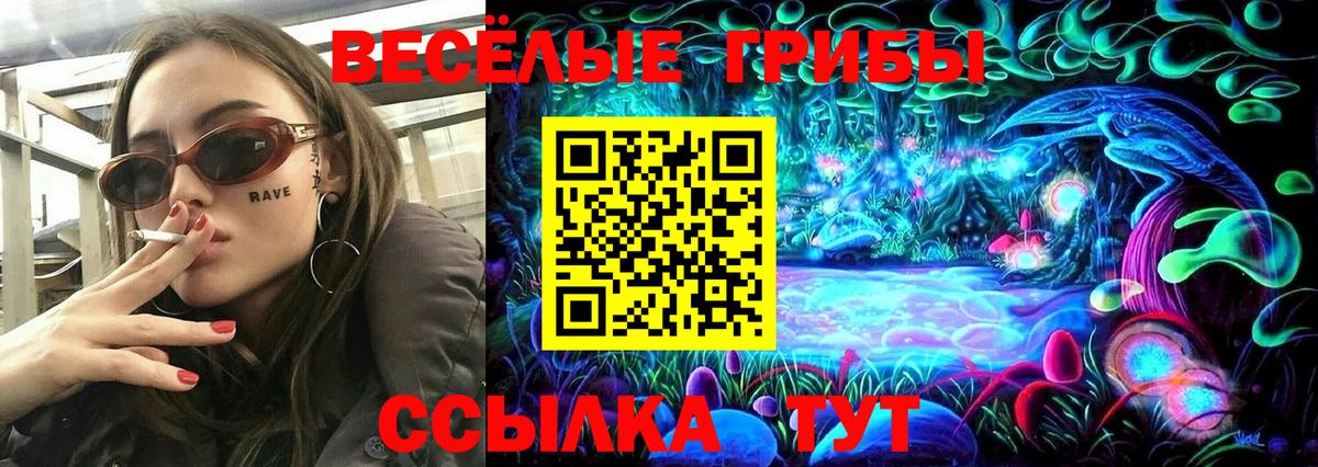Псилоцибиновые грибы Psilocybe Улан-Удэ