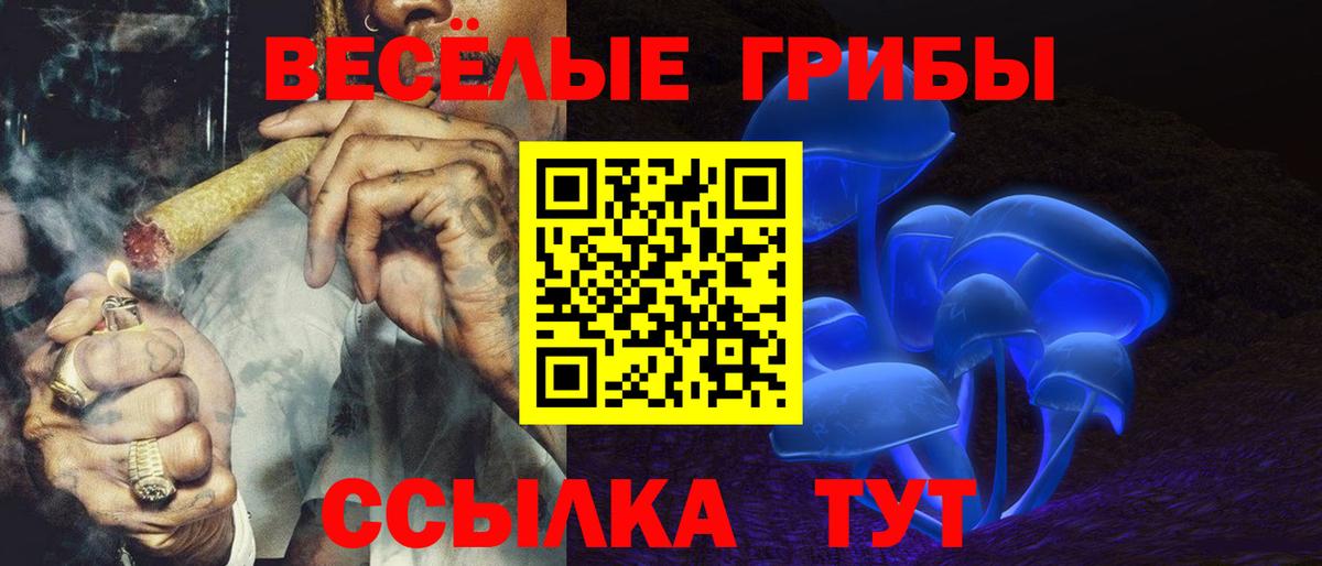 Галлюциногенные грибы GOLDEN TEACHER  Вход с VPN  Псилоцибиновые грибы ЛСД  Улан-Удэ 